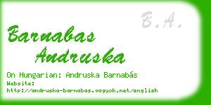 barnabas andruska business card